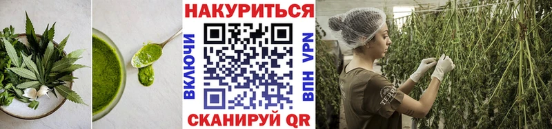 Купить  Сосенский  Canna-Cookies марихуана 