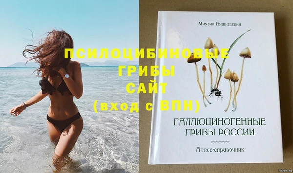 MDMA Premium VHQ Вяземский