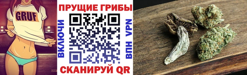 Купить  Сосенский  Псилоцибиновые грибы GOLDEN TEACHER 
