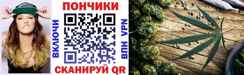 Каннабис сатива  Купить  Сосенский 